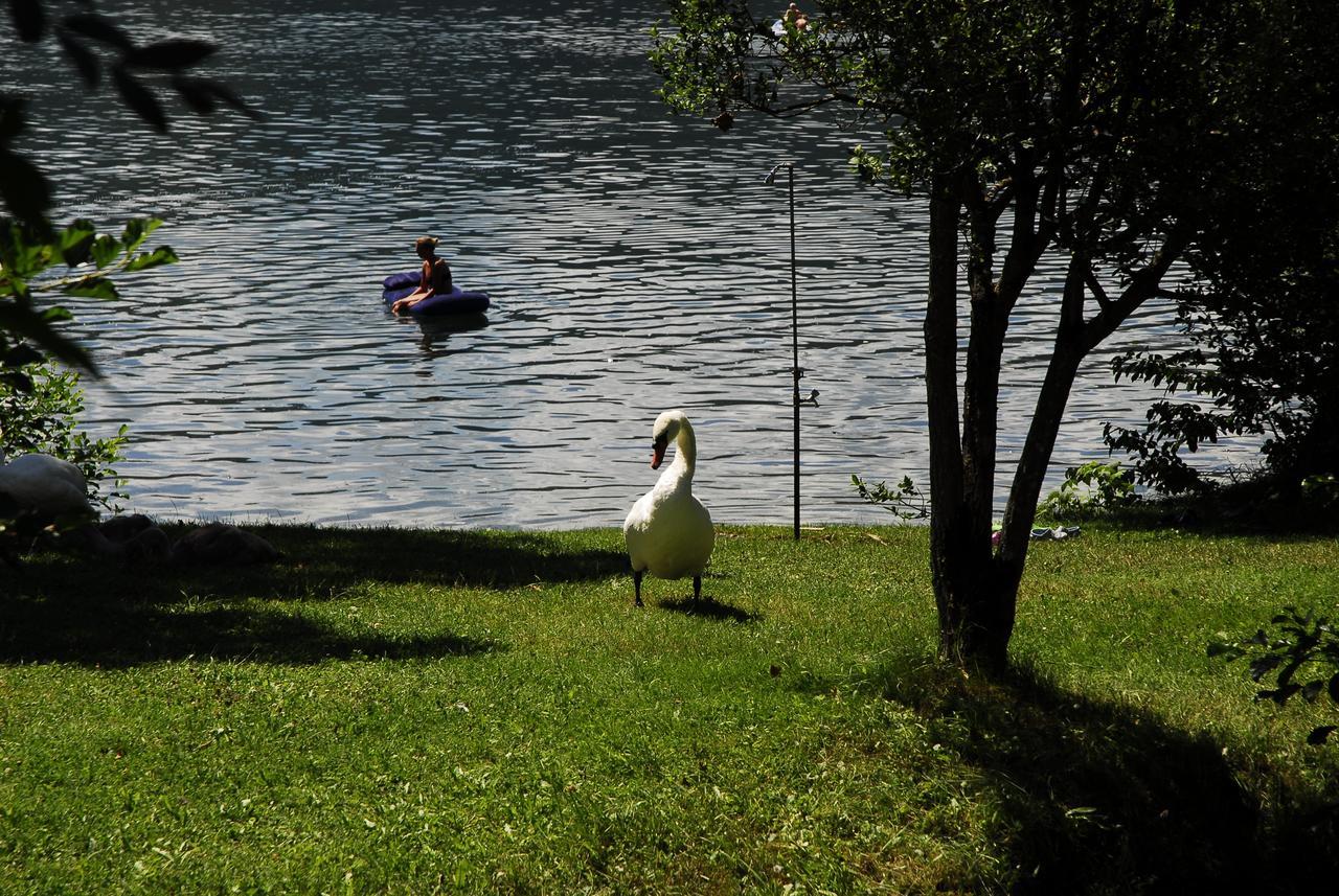 Camping Neubauer - Mobilheime Otel Millstatt Dış mekan fotoğraf